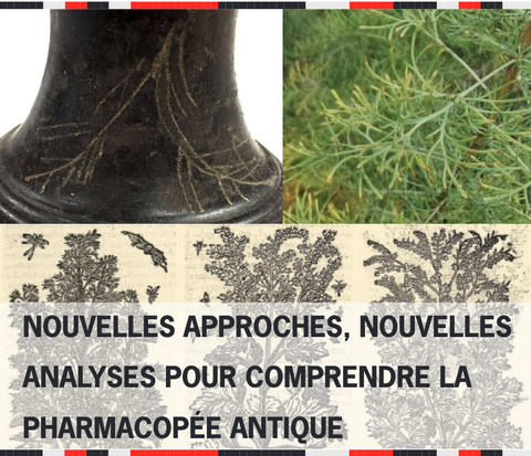 Nouvelles approches, nouvelles analyses pour comprendre la pharmacopée antique Affiche conférence INRAP